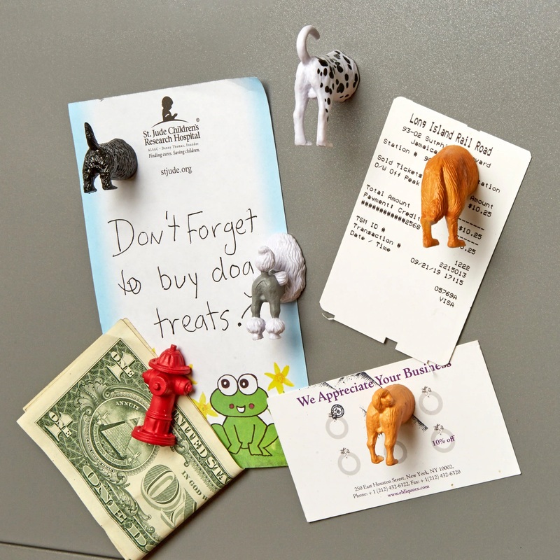 Kikkerland - Dog Butt Magnet Set