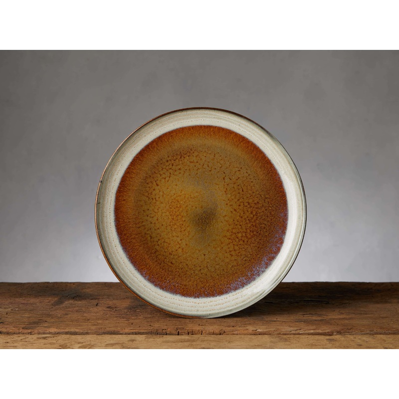 Canyon Dinner Plates (Set of 4)
