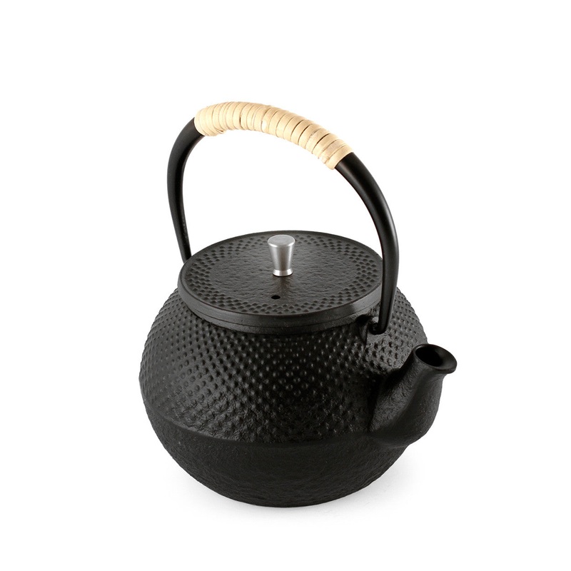 Nanbu Cast Iron Teapot Kyusu 13 fl oz