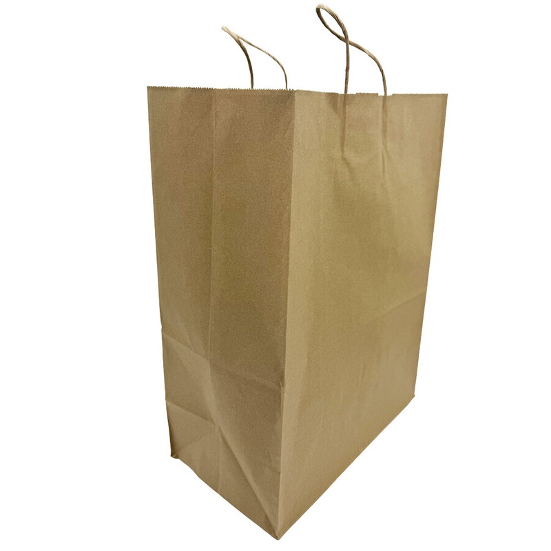 Brown Kraft Paper Shopping BagLarge (250 pcs/case)