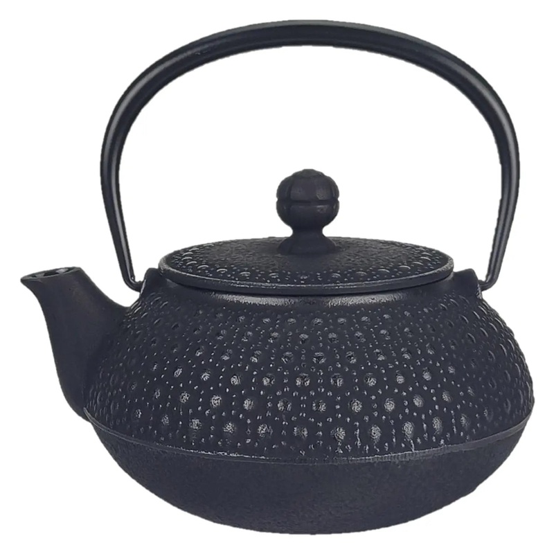 Iwachu Nambu Cast Iron Tetsukyusu Teapot Kikko
